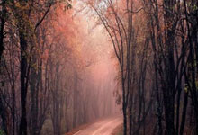 马竞豪取胜利，叱咤风云创造辉煌